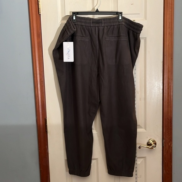 NWT-ATHLETA-W 26-gray-Farallon jogger. elastic & drawstring waistband ,stretchy! - Picture 2 of 13